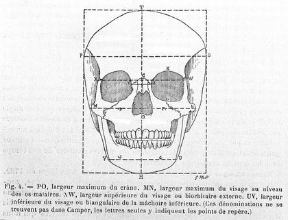 Éléments d'anthropologie générale / par Paul Topinard.