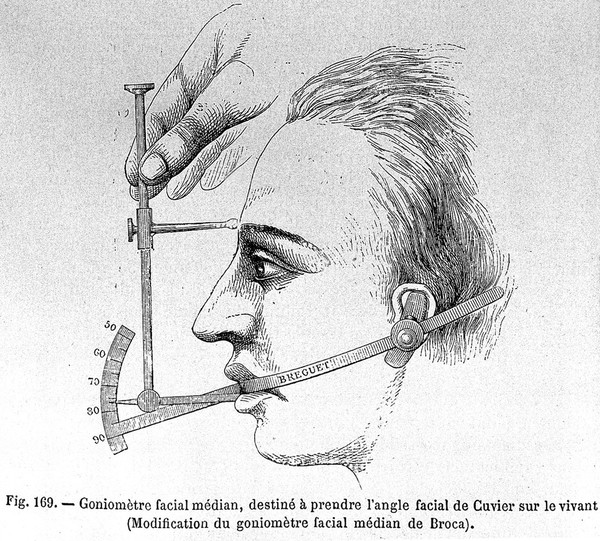 Éléments d'anthropologie générale / par Paul Topinard.