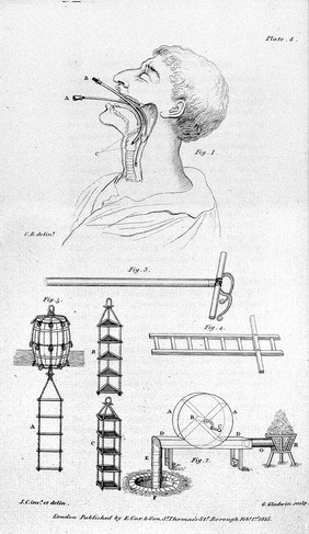 Observations on apparent death from drowning, hanging, suffocation, etc, &c. and an account of the means to be employed for recovery. To which are added the treatment proper in cases of poison, with cautions and suggestions respecting various circumstances of sudden danger / [James Curry].