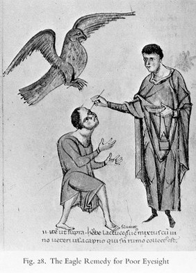 The eagle remedy for poor eyesight, 13th century