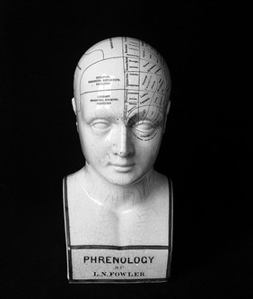 Photograph: phrenological head by L. N. Fowler