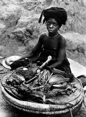 Iloffa, Nigeria: a Yoruba girl selling dried rats and mice for medicinal use, from a basket in the marketplace. Photograph by H.V. Meyerowitz, 19--.