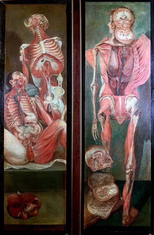 Two anatomical oil paintings by d'Agoty, 1765-1765