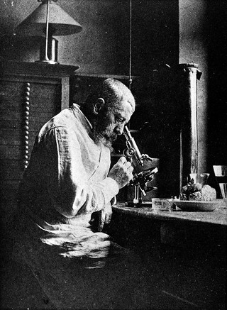 Le professeur J. Dejerine, 1849-1917 / [E Gauckler].