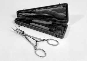 view Skin-grafting scissors