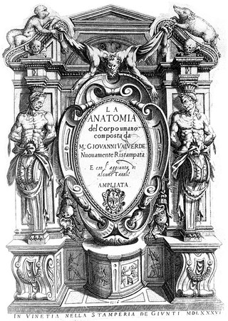 La anatomia del corpo umano / composta da M. Giovanni Valverde. Nuovamente ristampata. E con l'aggiunta di alcune tavole ampliata.