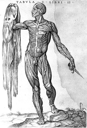 La anatomia del corpo umano / composta da M. Giovanni Valverde. Nuovamente ristampata. E con l'aggiunta di alcune tavole ampliata.