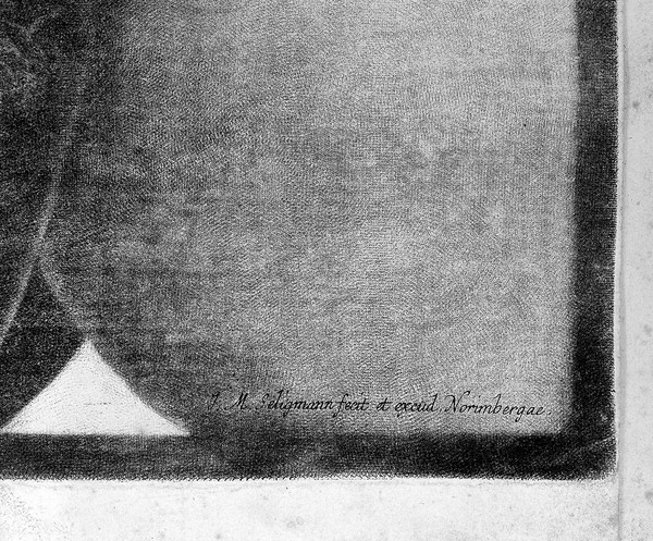 Demonstratio uteri praegnantis mulieris cum foetu ad partum maturi tabulis ... ea methodo dispositis, ut hujus status gravidi amplam ob oculos ideam collecent ... / Ad exemplar Londinense translata a D.C.C. Schmidel. In aes incisa .. a J.M. Seligmanno ... Abbildung der Gebähr-Mutter aus einer schwangern Frau, etc.