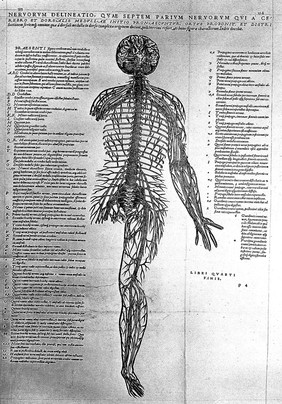 Andreae Vesalii Bruxellensis, scholae medicorum Patauinae professoris De humani corporis fabrica libri septem.