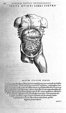 Andreae Vesalii Bruxellensis, scholae medicorum Patauinae professoris De humani corporis fabrica libri septem.