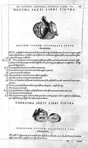 Andreae Vesalii Bruxellensis, scholae medicorum Patauinae professoris De humani corporis fabrica libri septem.