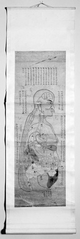 Chinese anatomical chart: Ming period
