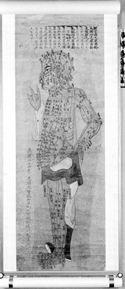 Anatomical chart: full length figure, side view, facing left.