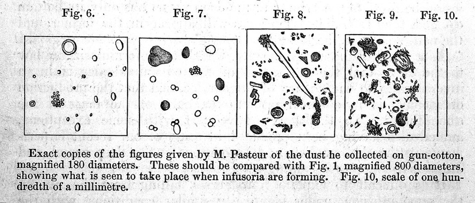 Edinburgh medical journal.