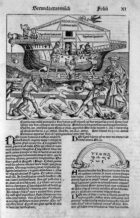 Liber chronicarum / [Hartmann Schedel].