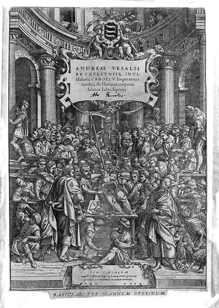 De humani corporis fabrica libri septem / [Andreas Vesalius].