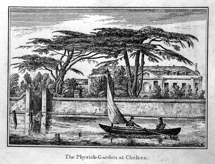The Physick Garden, Chelsea: viewed from the Surrey bank with a boat on the river. Engraving.