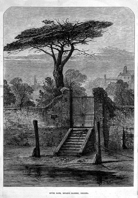 The Physick Garden, Chelsea: viewed from the river, showing water gate, mooring posts and steps. Wood engraving by W. J. Palmer.