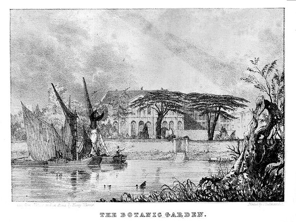 An historical and topographical description of Chelsea and its environs; interspersed with biographical anecdotes / [Thomas Faulkner].