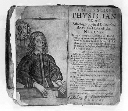 The English physician / [Nicholas Culpeper].