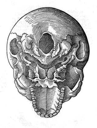 Galēnou hapanta = Galeni Pergameni summi semper uiri, quique primus artem medicinae uniuersam, apud priores homines obscuram & ueluti errantem, in perspicuam quandam & propriam expositionem traduxit, opera omnia / ad fidem complurium & perquam uetustorum exemplariorum ita emendata atq[ue] restituta, ut nunc primum nata, atque in lucem aedita, uideri possint.