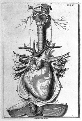 De motu cordis et aneurysmatibus. Opus posthumum / [Giovanni Maria Lancisi].