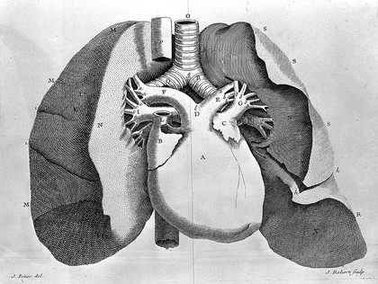 Traité de la structure du coeur, de son action, et de ses maladies / Par M. Senac.