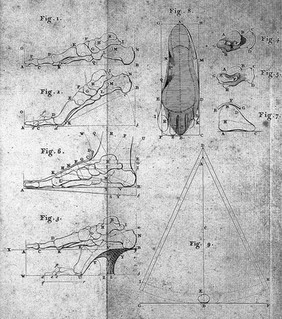 Dissertation sur la meilleure forme des souliers / [Petrus Camper].