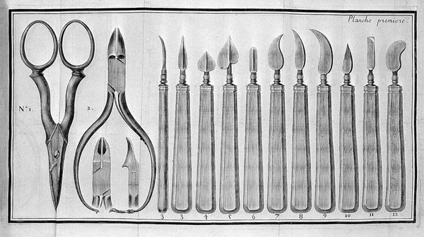 L'art de soigner les pieds, contenant un traité sur les cors, verrues, durillons, oignons, engelures, les accidens des ongles et leur difformité / [Nicholas Laurent Laforest].