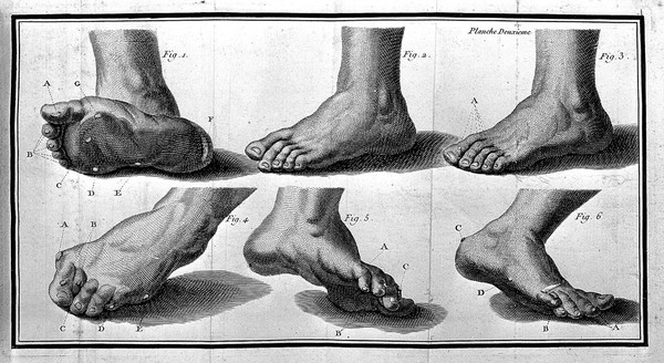 Plate showing the feet from La Forest, L'art de soigner les pieds.