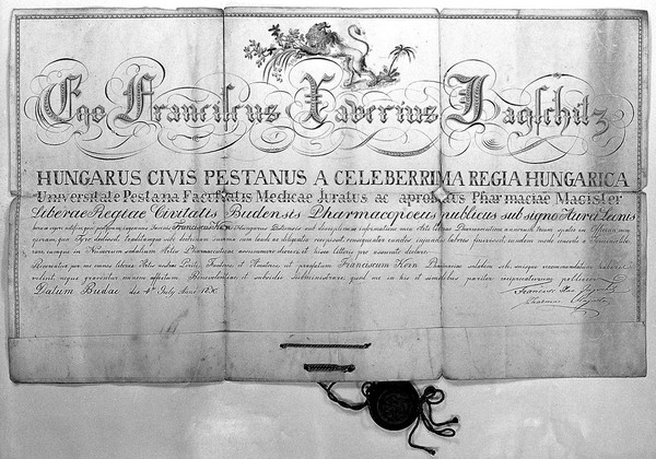 Certificate authorizing F. Korn to practise pharmacy.