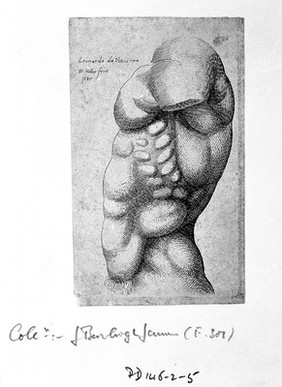 A male torso without an arm, in left profile view. Etching by Wenceslaus Hollar after Leonardo da Vinci, 1645.