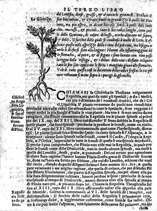 Il Dioscoride / dell'eccellente dottor ... P. Andrea Matthioli ... con i suoi discorsi da esso la seconda uolta illustrati, et diligentemente ampliati: con la giunta del sesto libro de i rimedi di tutti i veleni, da lui nouamente tradotto & con dottissimi discorsi per tutto commentato con la giunta di tutte le figure delle piante, delle herbe, delle pietre, et de gli animali. Tratte dal vero & istesso naturale, & non piu stampate.