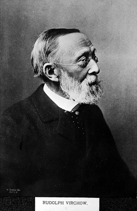 Portrait of R. L. K. Virchow,