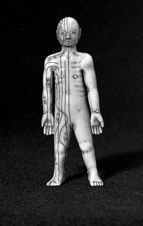 Japanese anatomical figure, ivory.