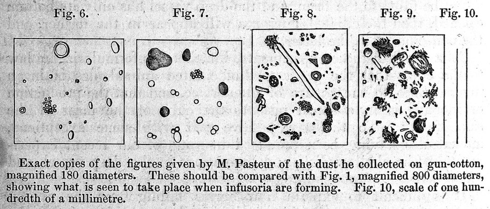 The atmospheric germ theory : a lecture delivered to the Royal College of Surgeons in Edinburgh, January 17, 1868 / by John Hughes Bennett.