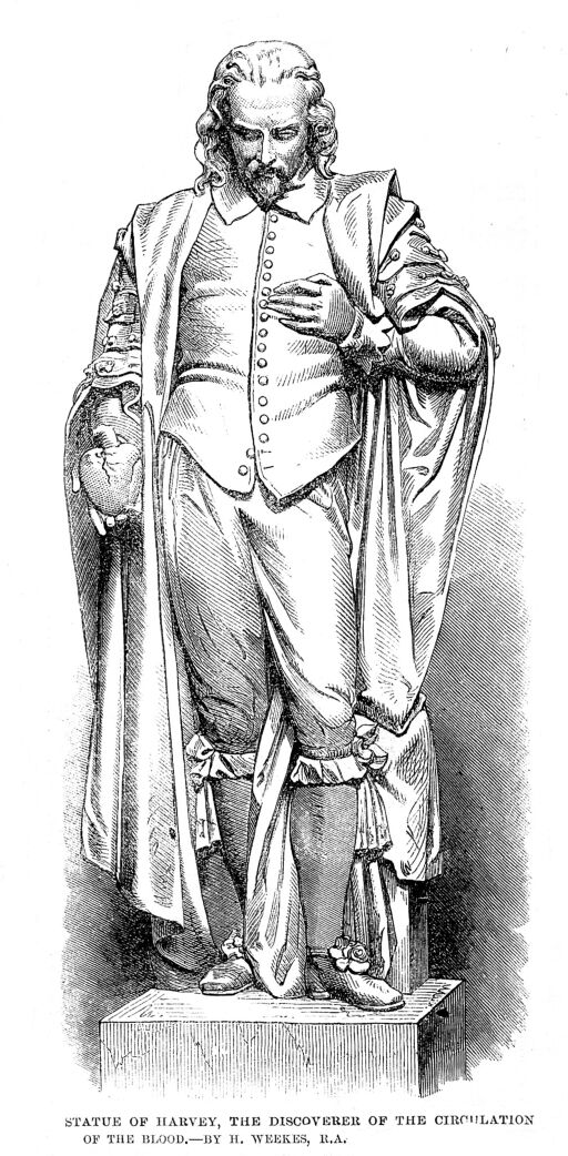 Statue of William Harvey by H. Weeks.