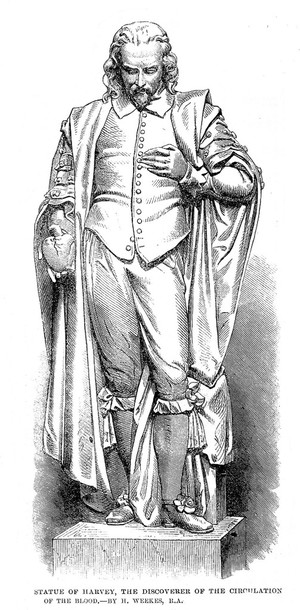 view Statue of William Harvey by H. Weeks.