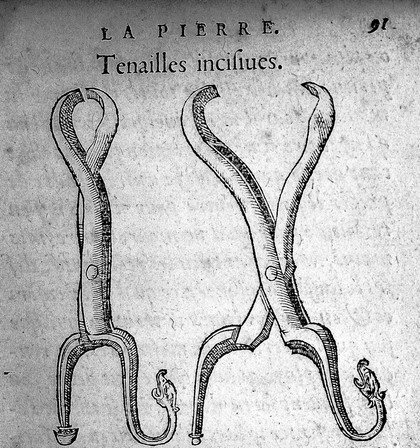 Petit traité contenant une des parties principalles de chirurgie, laquelle les chirurgiens hernières excercent. Ainsi quil est montre en la page suivante ... / [Pierre Franco].
