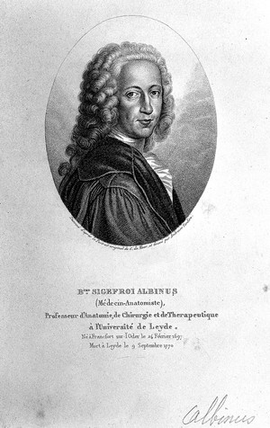 view Bernhard Siegfried Albinus. Engraving by Ambroise Tardieu after Carel de Moor.