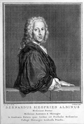 Portrait of Bernhard Siegfried Albinus