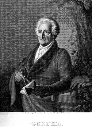 view Portrait of Johann Wolfang von Goethe