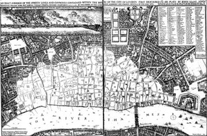 view 'An exact surveigh of the streets, lane and churches, contained within the ruins of the City of London',