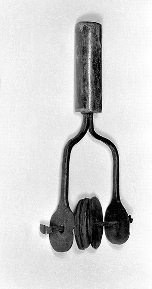 view Possibly Beggar's or Leper's rattle