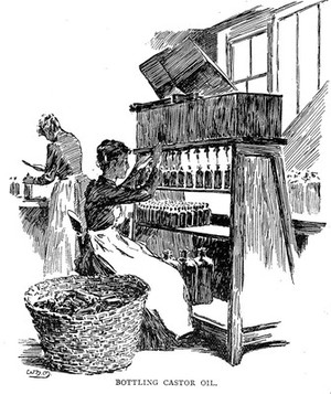 view Bottling castor oil. Shops: Allen & Hansburys.