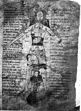 A Welsh leech book, or, Llyfr o feddyginiaeth, faithfully reproduced from the original manuscript / edited by Timothy Lewis, M.A.