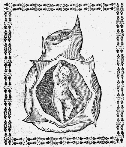 La commare o riccoglitrice dell'eccmo. sr. Scipion Mercurii / ... Divisa in tre libri. Ristampata correcta et accresciuta. Dall'istesso autore.