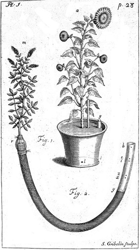 Statical essays: containing vegetable statics; or, an account of some statical experiments on the sap in vegetables ... Also a specimen of an attempt to analyse the air / [Stephen Hales].