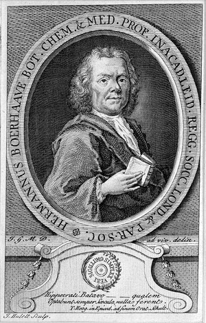 view Portrait of Hermann Boerhaave