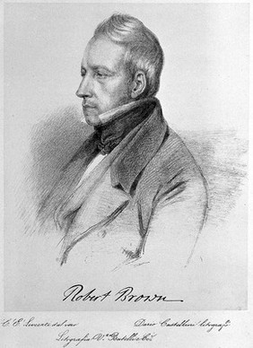 Robert Brown. Lithograph by D. Castellini after C. E. Liverati, 1841.